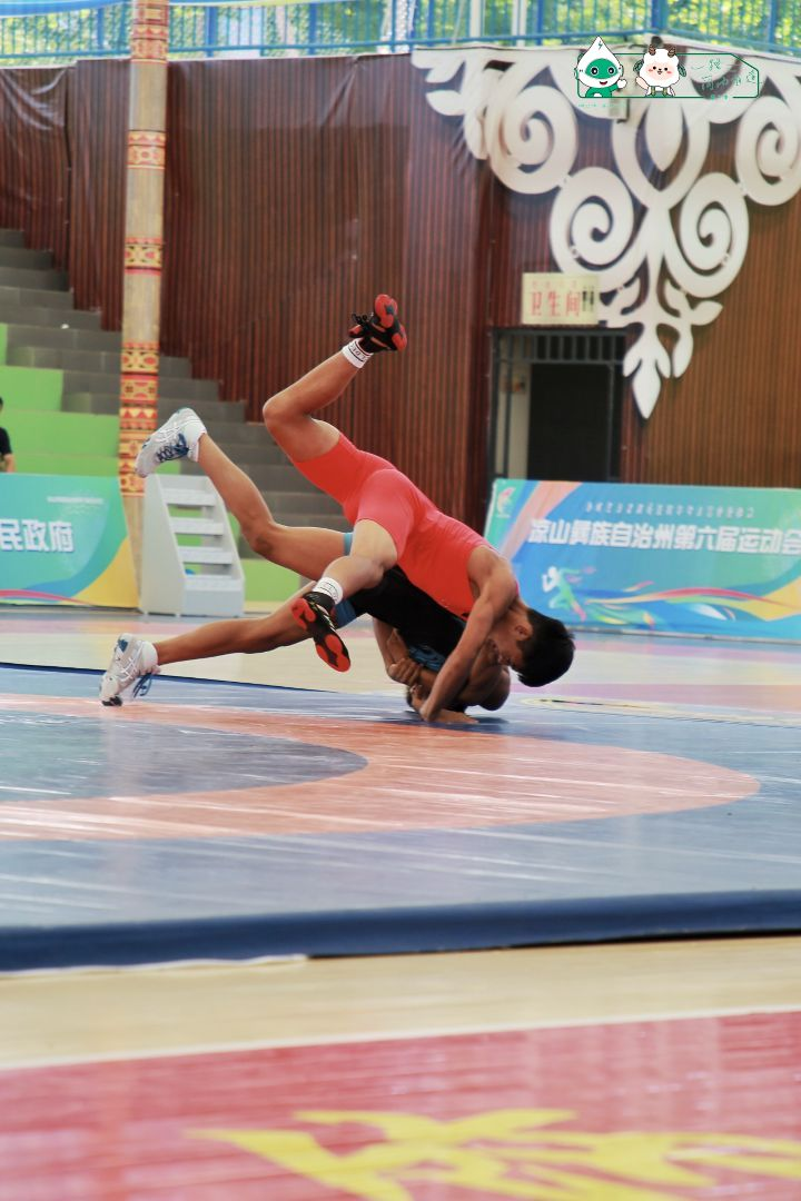 图片5.png 图片5.png