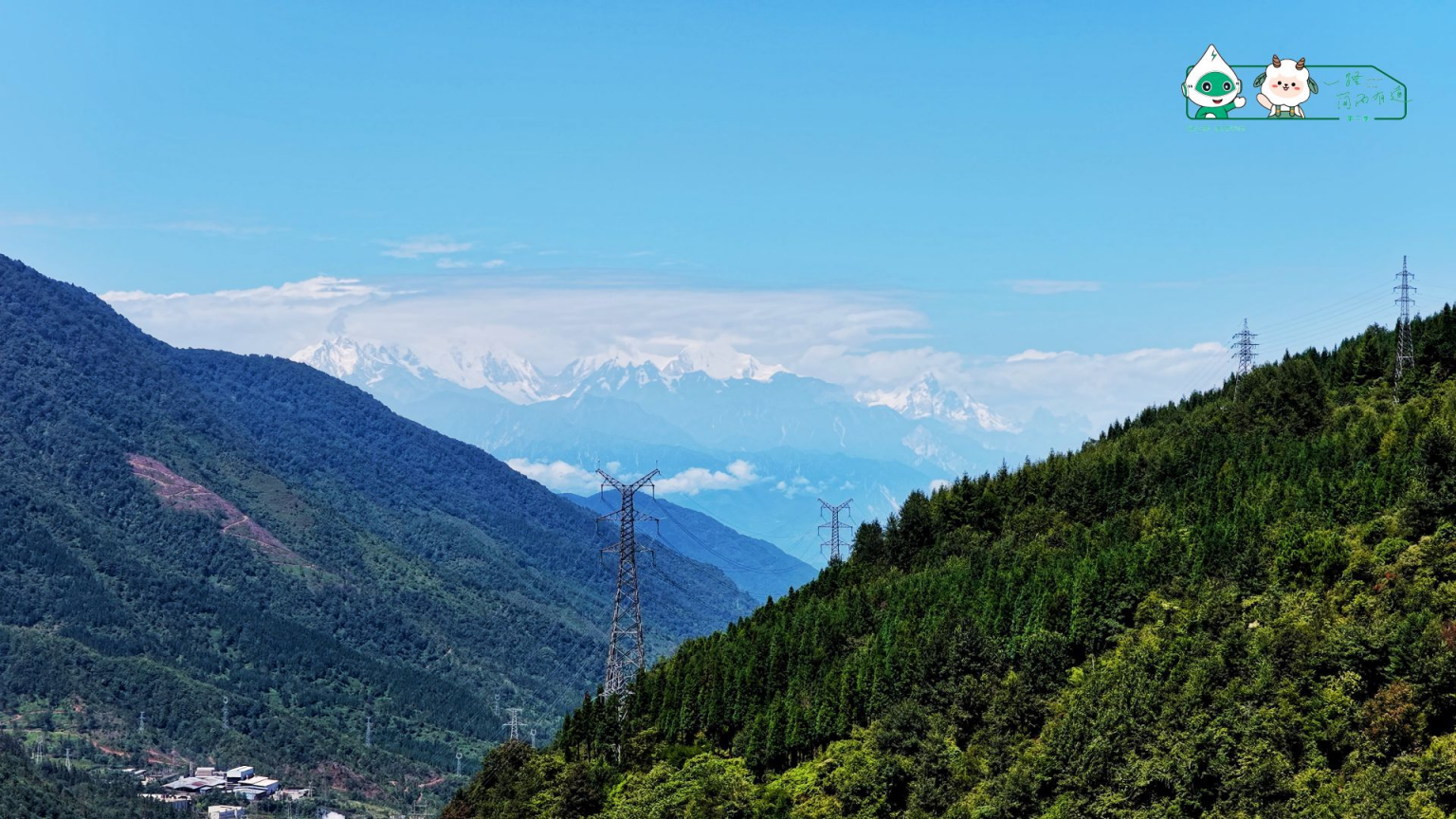 图片6_副本.png 图片6_副本.png